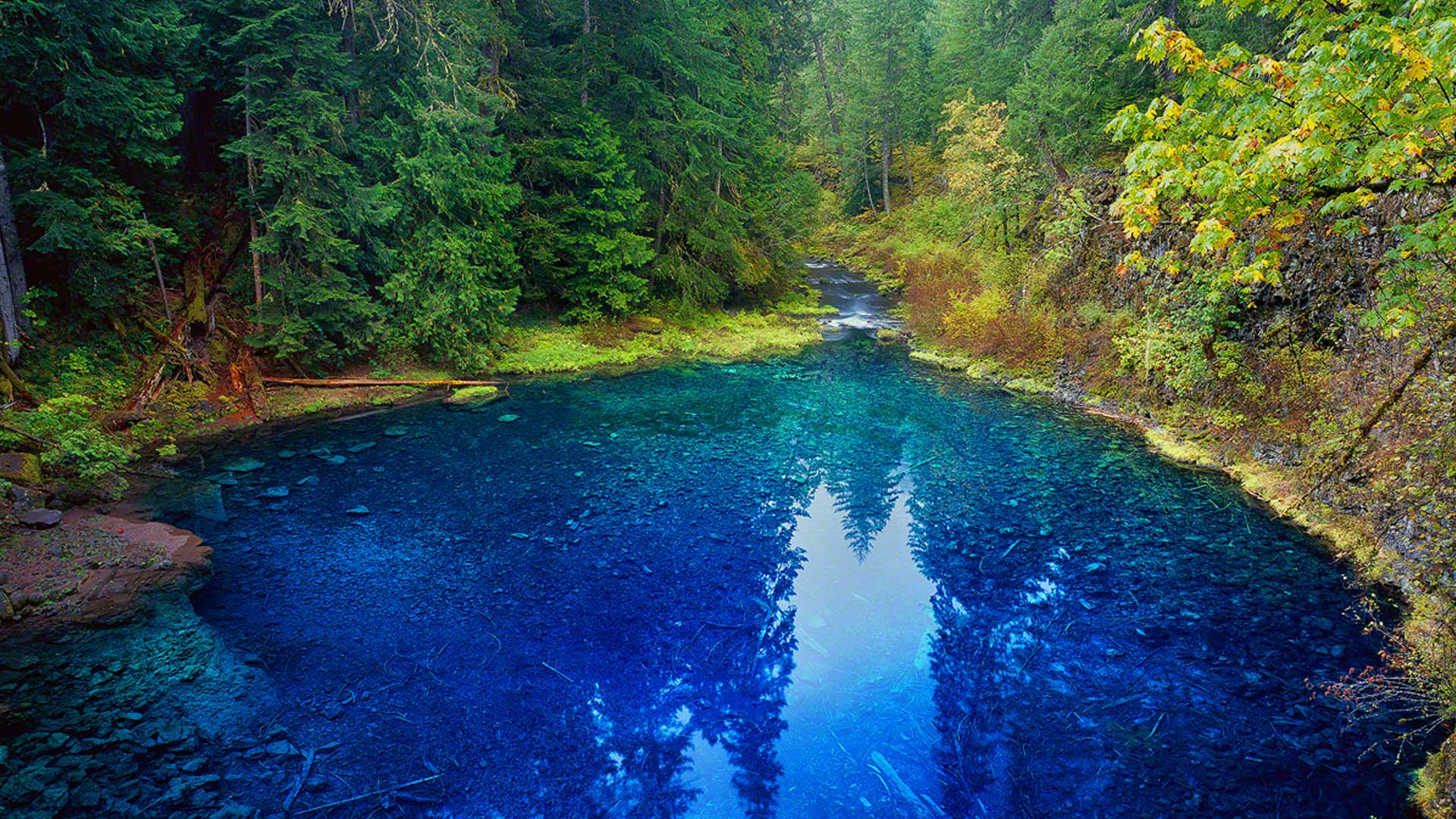 Tamolitch Pool